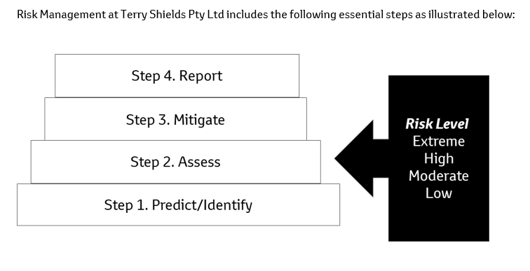 Diagram showing risk management steps
