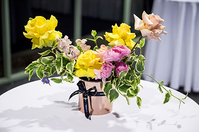 Lexus Melbourne Cup Tour