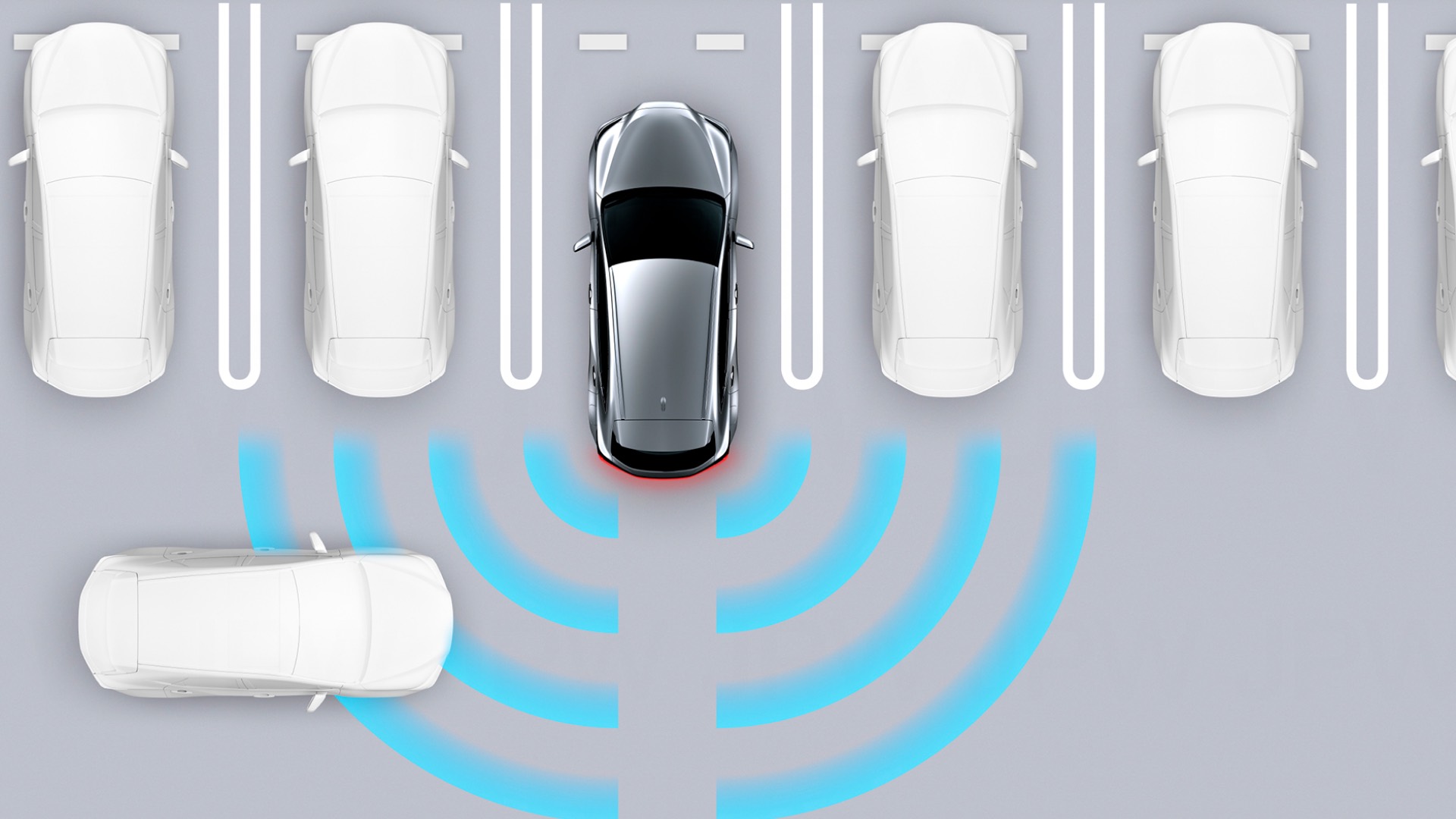 Rear Park Assist animation.