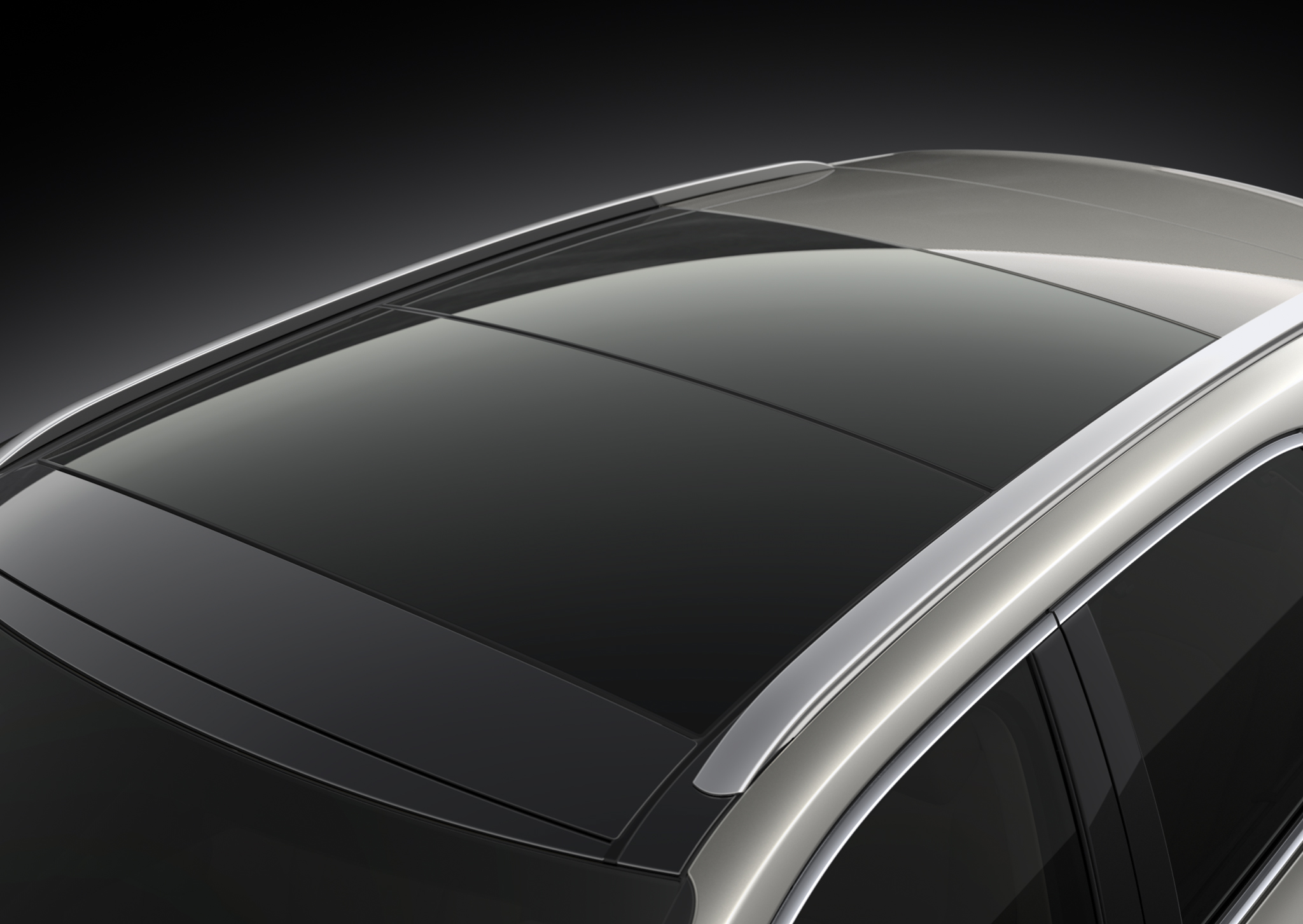Lexus RX panoramic roof